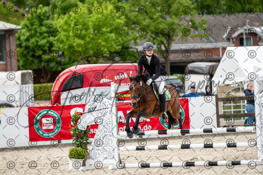 KPT_7253 | andre_photographic