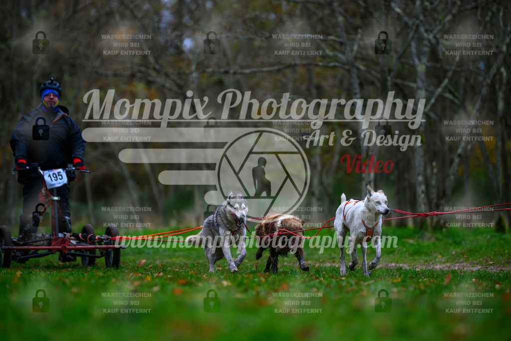 MompixPhotography_Bischwiller24_SA_Kart-20 | PayLife