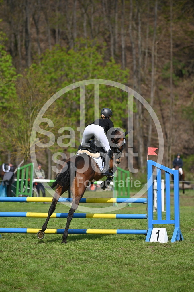 DSC_1213 | sattelsport - Realisiert mit Pictrs.com