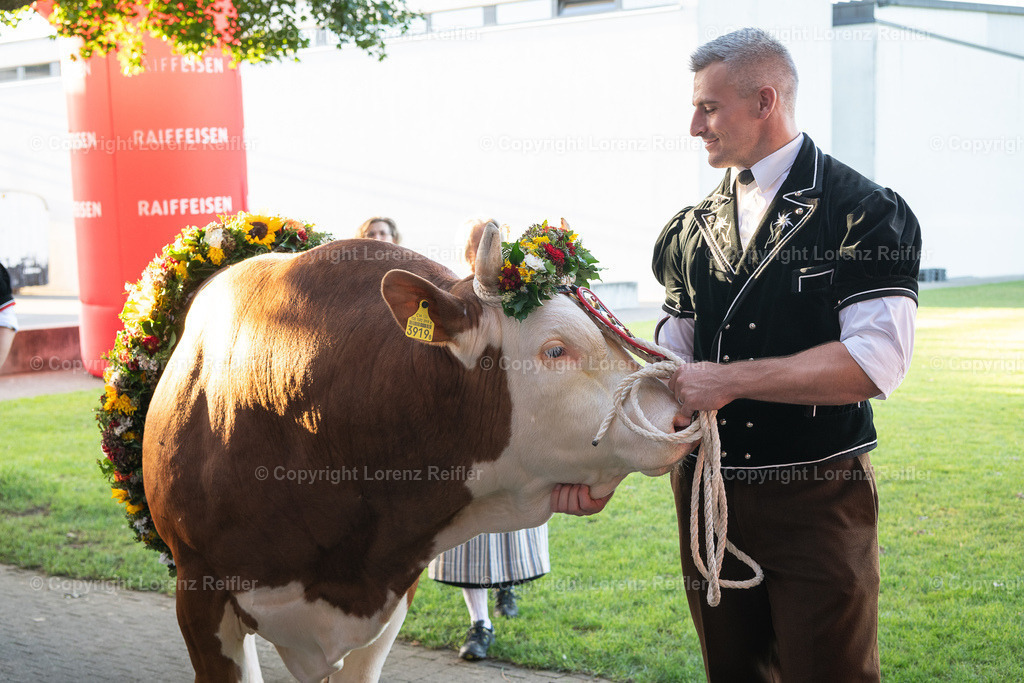 Schwingen -  Unspunnen Empfang 2023 | Wigoltingen, 2.9.23, Schwingen - Unspunnen Empfang.
