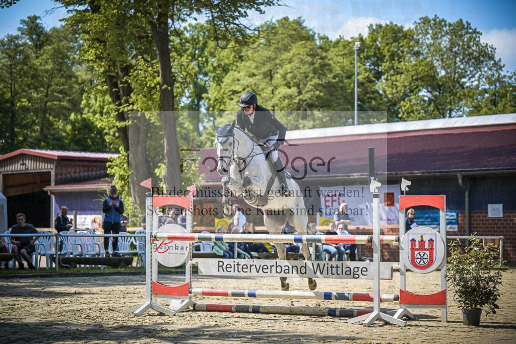 DOS_7729 | Entdecke hochwertige Reitturnierfotos von Foto Oger. Professionell, emotional und authentisch – jetzt Lieblingsmomente im Shop bestellen.Deutschlandweite Turnierfotografie. - Realisiert mit Pictrs.com