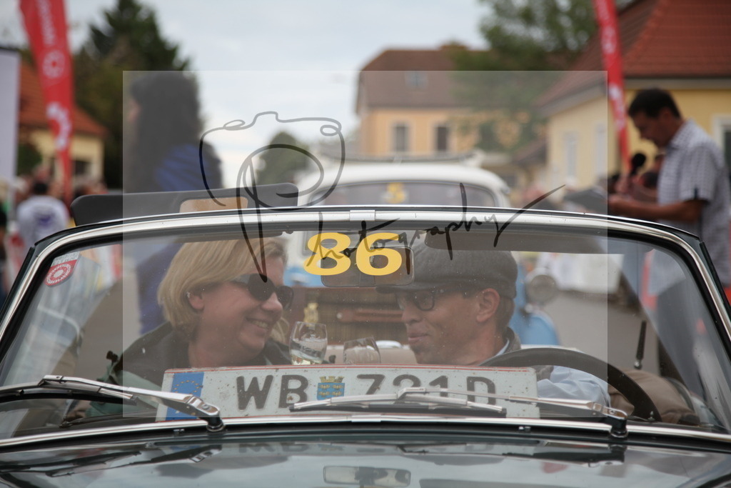 IMG_6530 | Gerhard Witt