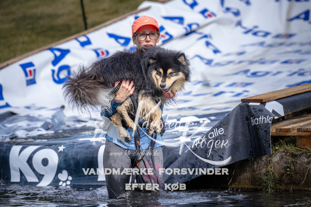 _ZZ908290908 | kk-dogfotos