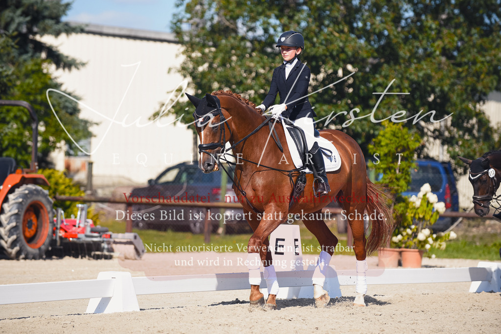 DSC_0035 | Pferde- und Turnierfotografie in Westsachsen. Pferdeportraits, Auftragszeichnungen und intuitive Kunst.