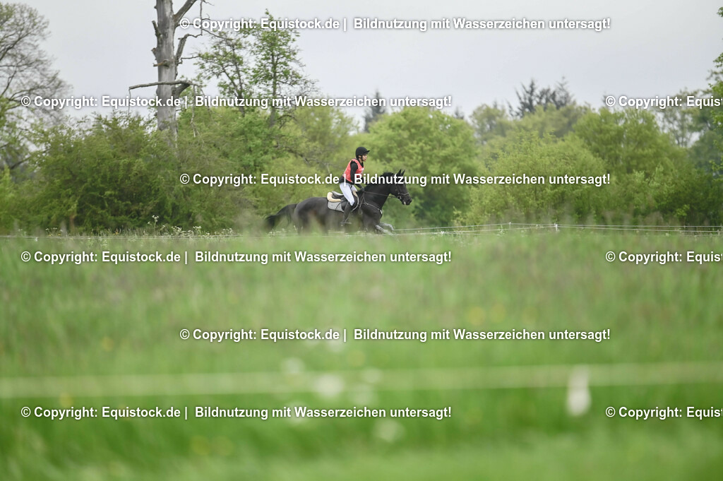 20230513_CCI2_Section1_0228 | equistock