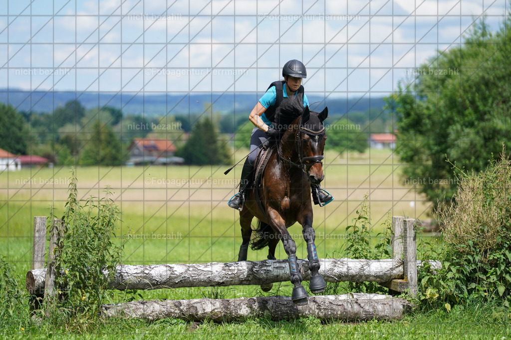 20240622-FAH07624 | Turnierfotografen Bayern, Reitsportbilder aus dem Geländekurs mit Felix Etzel auf dem Gut Waitzacker 2024
