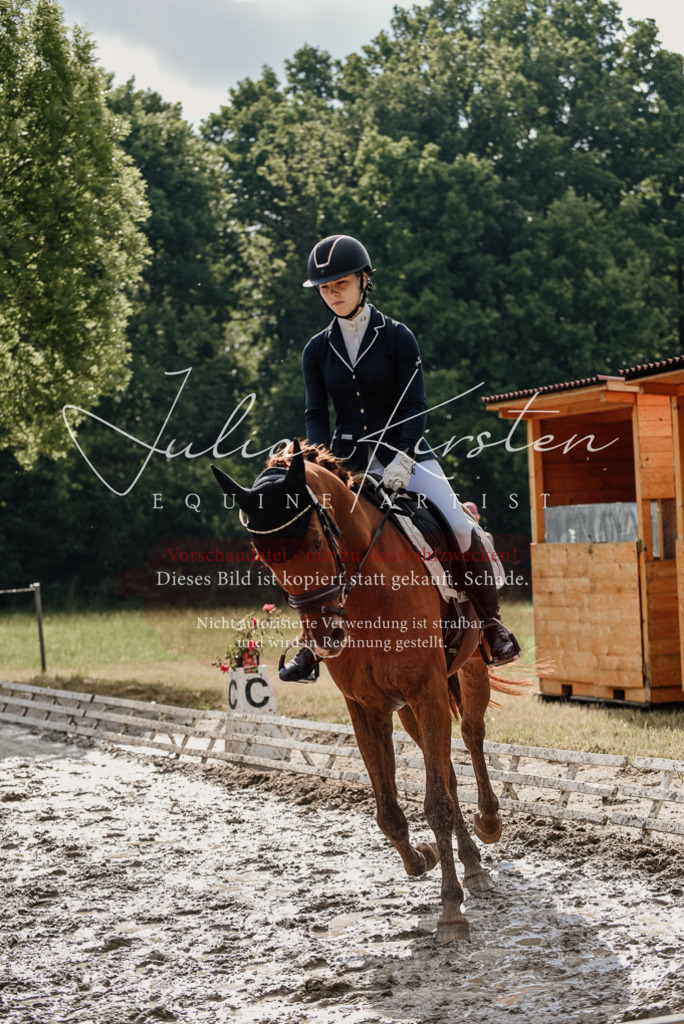DSC_8894 | Pferde- und Turnierfotografie in Westsachsen. Pferdeportraits, Auftragszeichnungen und intuitive Kunst.