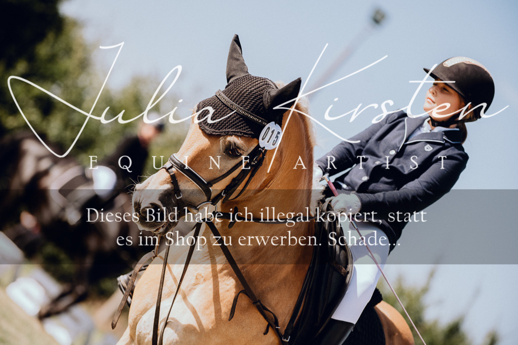 DSC_6964 | Pferde- und Turnierfotografie in Westsachsen. Pferdeportraits, Auftragszeichnungen und intuitive Kunst.