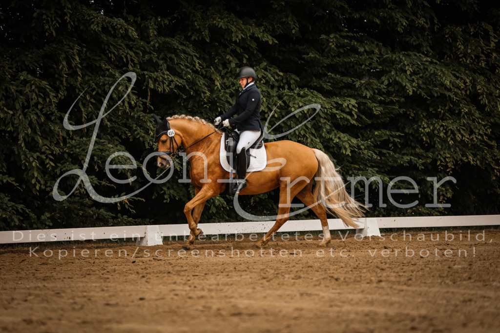 DoDrA00153 | Leoni Ertmer Photography - Realisiert mit Pictrs.com