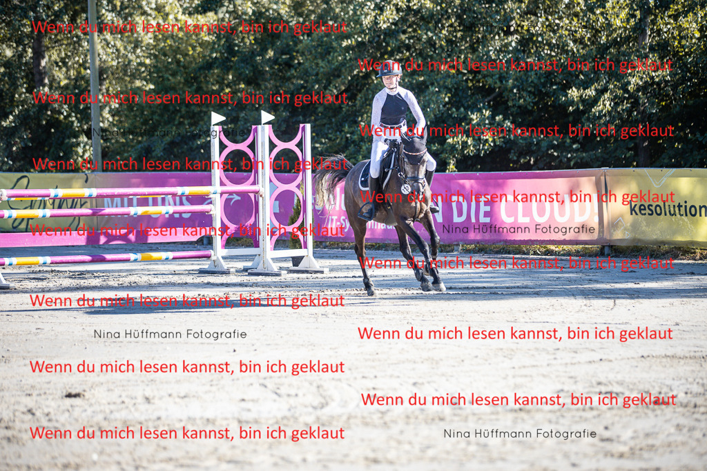 BK1A5952 | Turnierbilder Turnierfotos Nina Hüffmann Turnierfotografie Pferdefotografie Tierzeichnung Haustierzeichnung Pferdezeichnung Hundezeichnung Videograf  - Realisiert mit Pictrs.com