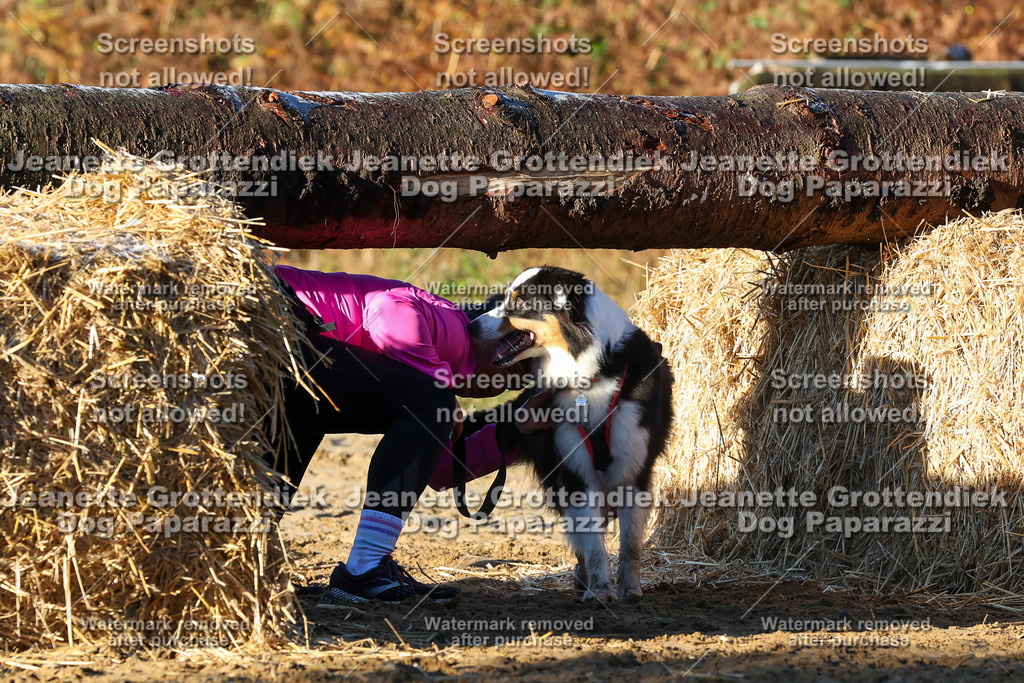 Dog Paparazzi - Strongdog 10-25-886 | Dog Paparazzi Jeanette Grottendiek Fotografie & Videografie - Realisiert mit Pictrs.com