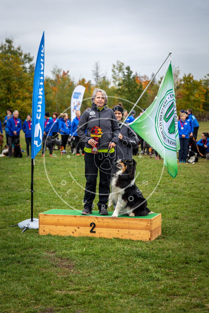 Pfotenfotografie_0L8A0559 | Hundefotografie, Tierfotograf, Pfotenfotografie, Fotoshooting Hund, Hunde Portrait, Hundesport, Hundeportraits, Heideshooting, Hunde, Sportfotograf, Hundefotograf, Turnierhundsport, THS,  - Realisiert mit Pictrs.com