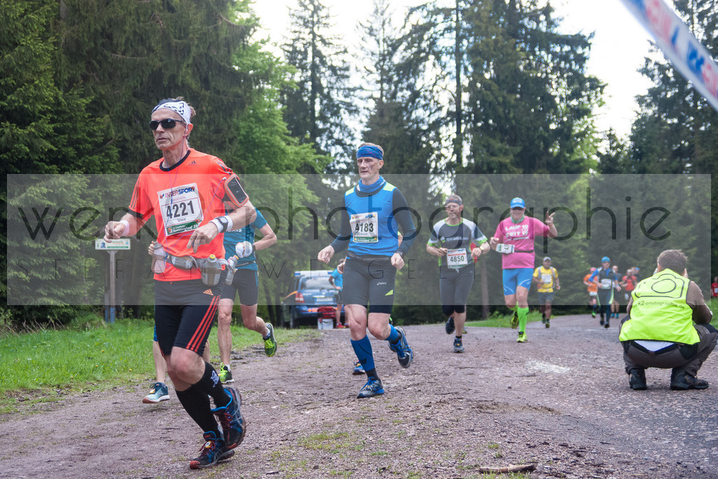 Rennsteiglauf 2017 | Neuhaus/Rwg. - Schmiedefeld am 19. Mai 2017