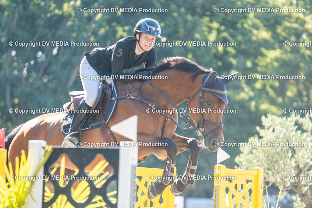 Hessische Tag 1-1127 | dv-media-shop - Realisiert mit Pictrs.com