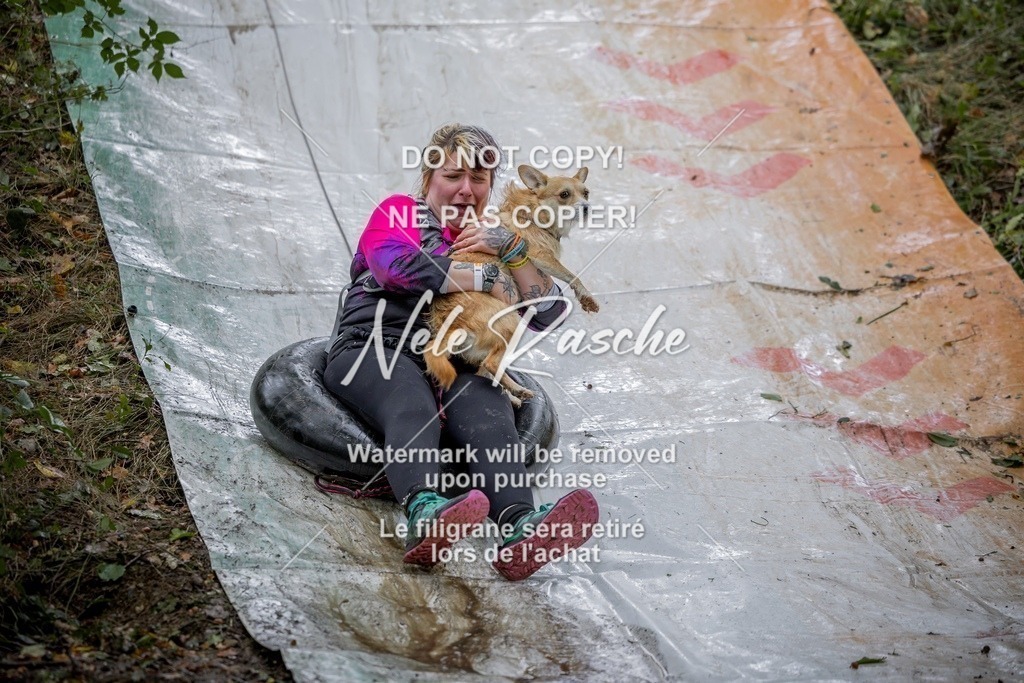 nelerasche_Hunsrück_Sa1000-1030_181-final | nelerasche