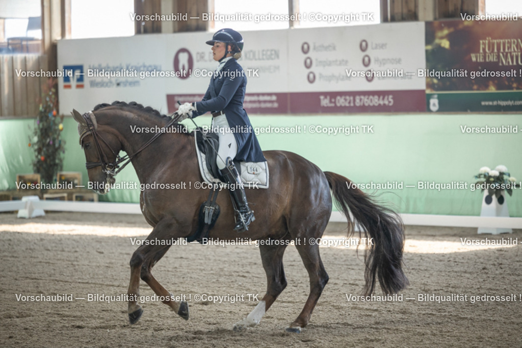 _D5A9202 | Emotionale Pferde- & People-Fotografie rund um Heidelberg, Leimen & Umgebung. Natürliche Fotos von Pferd, Mensch & Familie. Jetzt Termin sichern!