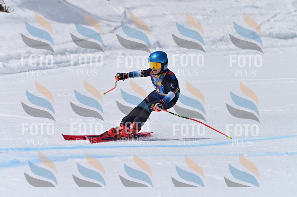 BGV_7010 | holidayphoto