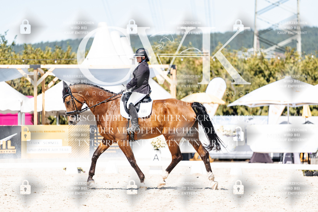 CK900024 | Turnierfotografie Pferdefotografie Trier Rheinland-Pfalz Pferdesport Reitsport Tierfotografie Sportfotografie Pferdevideo Pferdevideografie Equestrianvideography equestrianphotography  - Realisiert mit Pictrs.com