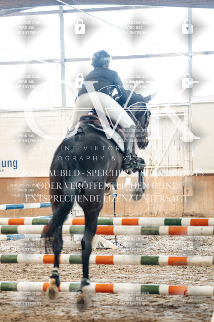 CK904191 | Turnierfotografie Pferdefotografie Trier Rheinland-Pfalz Pferdesport Reitsport Tierfotografie Sportfotografie Pferdevideo Pferdevideografie Equestrianvideography equestrianphotography  - Realized with Pictrs.com