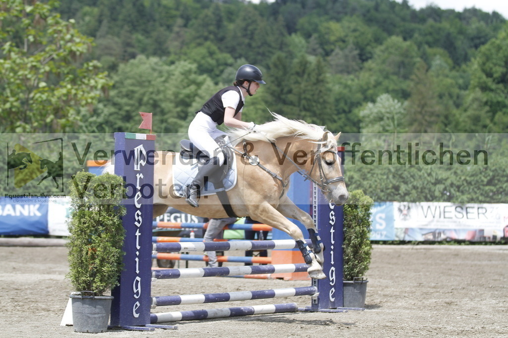 _MG_5355 | equestrian-live-com