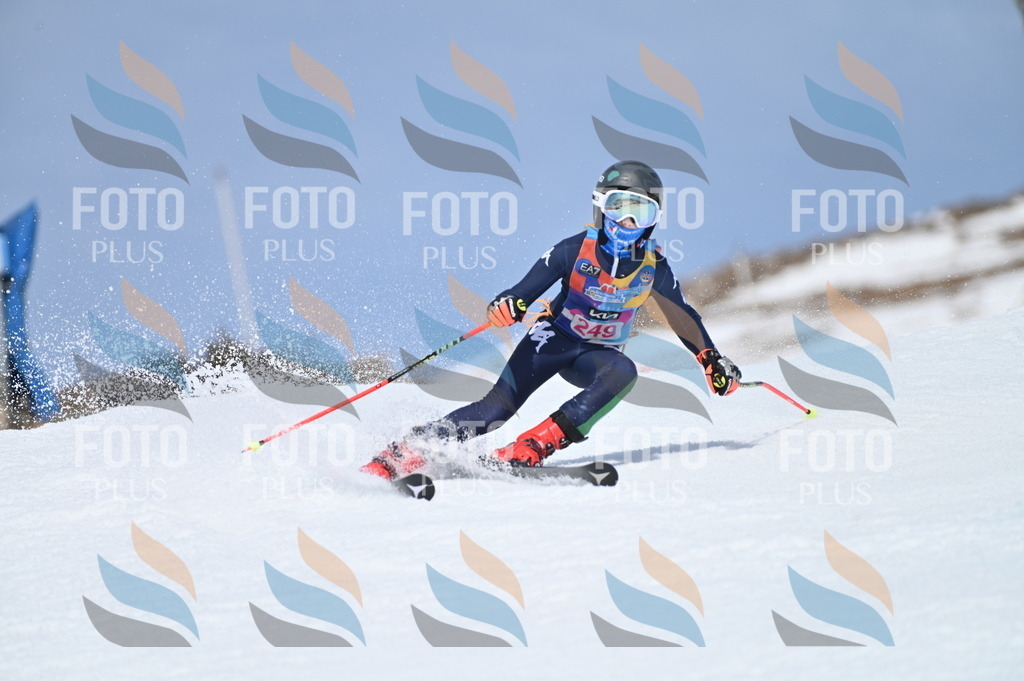 BGV_1854 | holidayphoto