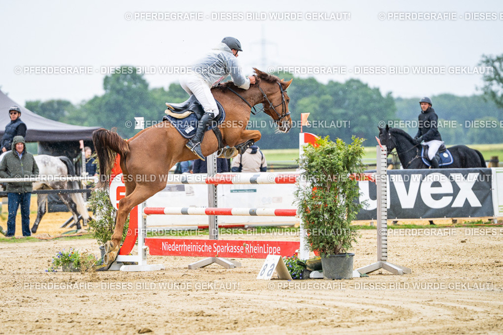 DSC08017 | Pferdegrafie