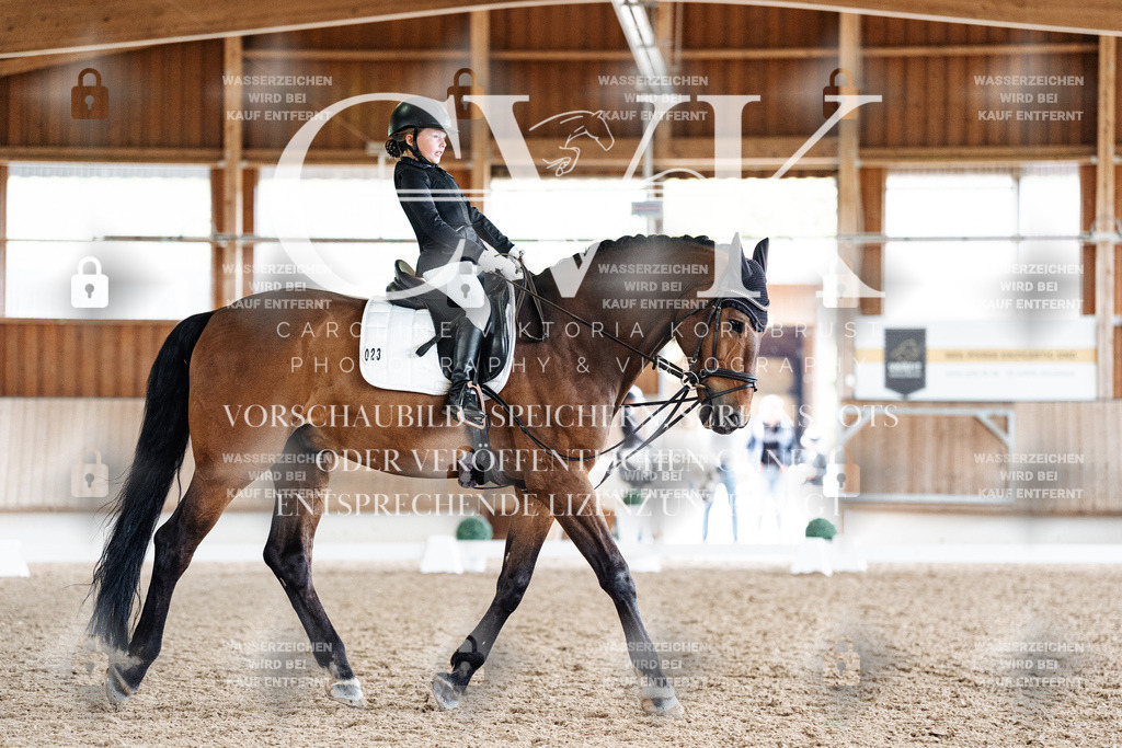 CK900847 | Turnierfotografie Pferdefotografie Trier Rheinland-Pfalz Pferdesport Reitsport Tierfotografie Sportfotografie Pferdevideo Pferdevideografie Equestrianvideography equestrianphotography  - Realisiert mit Pictrs.com