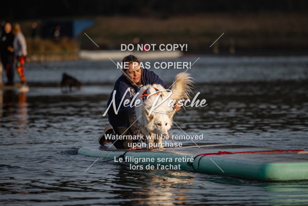 nelerasche_Hulsbeek_Sa1700-1730_329 | nelerasche