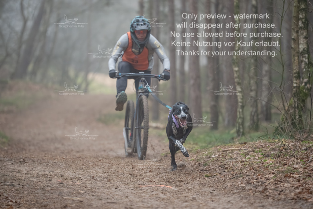 Scooter1-53 | stephaniefillaphotographie - Realisiert mit Pictrs.com