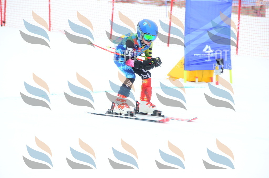 DSC_1662 | holidayphoto