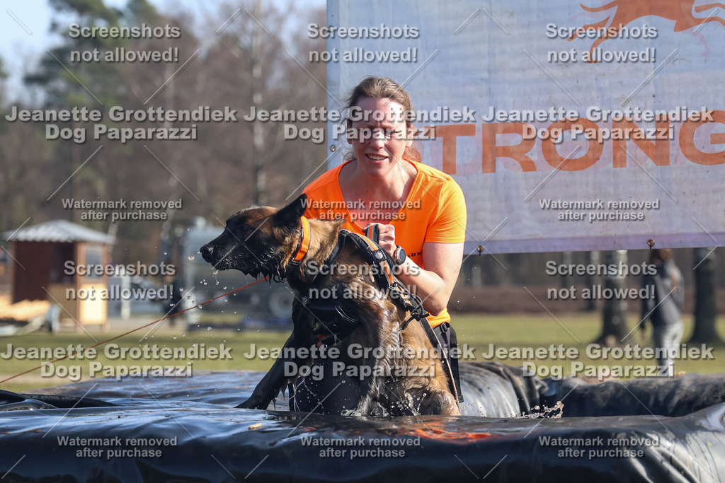 Dog Paparazzi - Strongdog North Mrz26-1247 | Dog Paparazzi Jeanette Grottendiek Fotografie & Videografie - Realisiert mit Pictrs.com