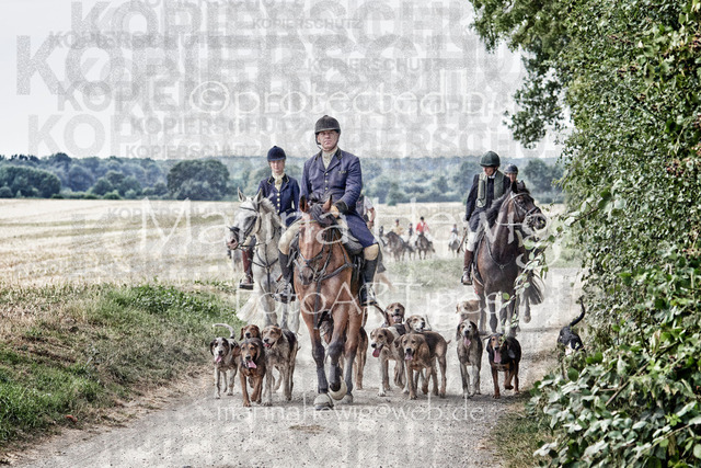 Jagd Knoop-22_MCH4407_Marina Hewig 1 | Fotografie, FotoArt, PferdesportArt, Pferdesportfotografie, Landschaftsfotografie, Reisefotografie, Reise, Pferde - Realisiert mit Pictrs.com