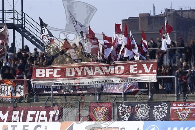 BFC Dynamo vs. FSV 63 Luckenwalde 007 | mythos-online-redaktion