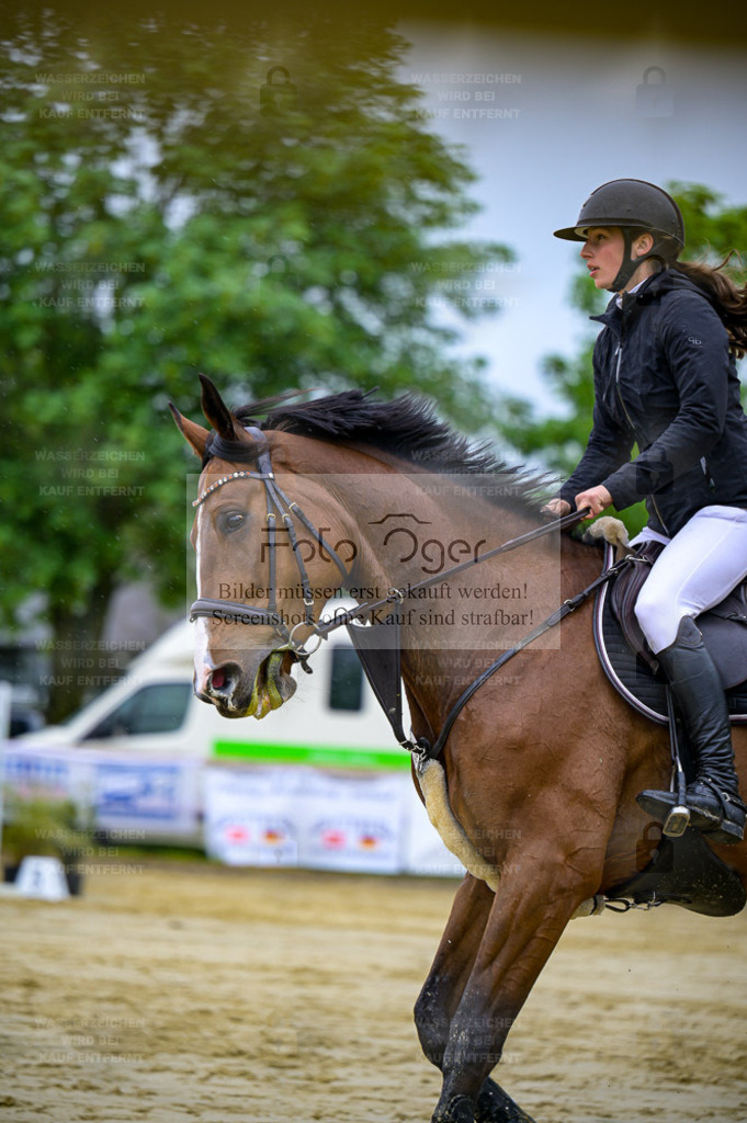 Reitturnier Lienen | Entdecke hochwertige Reitturnierfotos von Foto Oger. Professionell, emotional und authentisch – jetzt Lieblingsmomente im Shop bestellen. - Realisiert mit Pictrs.com