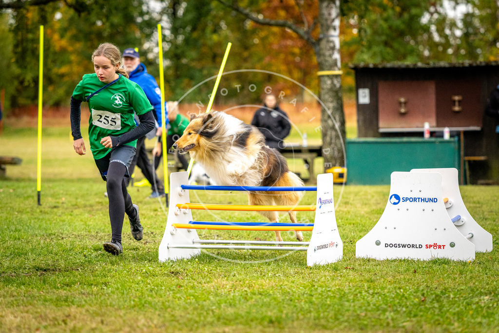 Pfotenfotografie_DV3A0389 | Hundefotografie, Tierfotograf, Pfotenfotografie, Fotoshooting Hund, Hunde Portrait, Hundesport, Hundeportraits, Heideshooting, Hunde, Sportfotograf, Hundefotograf, Turnierhundsport, THS,  - Realisiert mit Pictrs.com