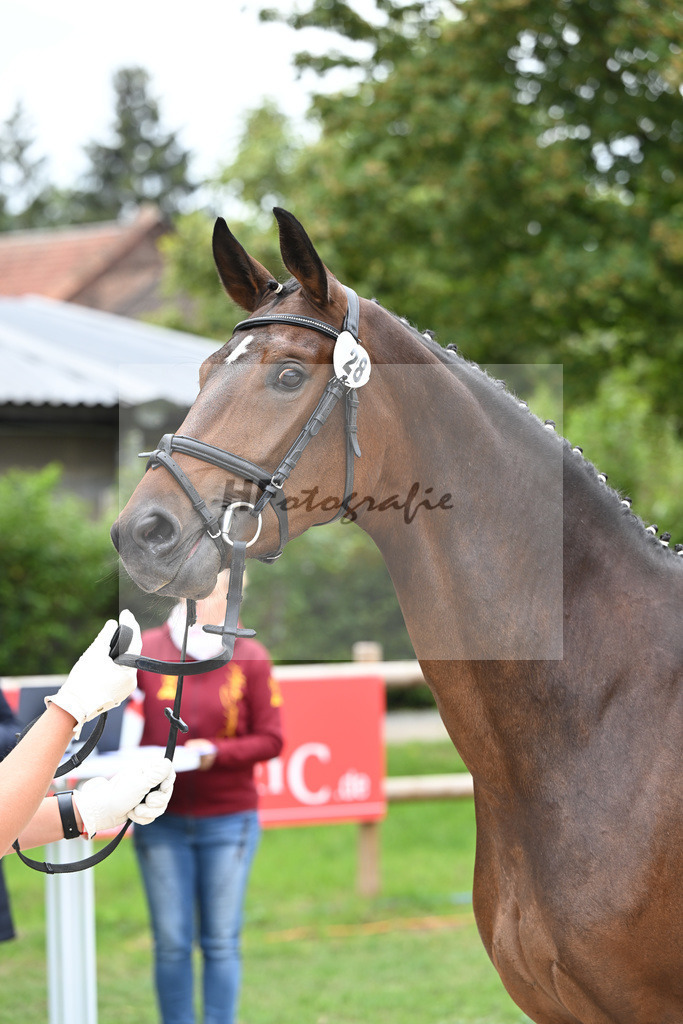 Kat-Nr. 28 Farella_Birkenmayer_49220971 | hf-fotografie - Realisiert mit Pictrs.com