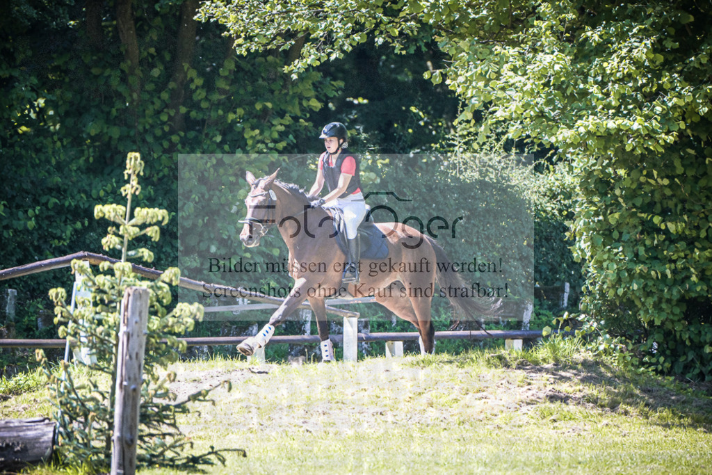 DOS_0026 | Entdecke hochwertige Reitturnierfotos von Foto Oger. Professionell, emotional und authentisch – jetzt Lieblingsmomente im Shop bestellen.Deutschlandweite Turnierfotografie. - Realisiert mit Pictrs.com