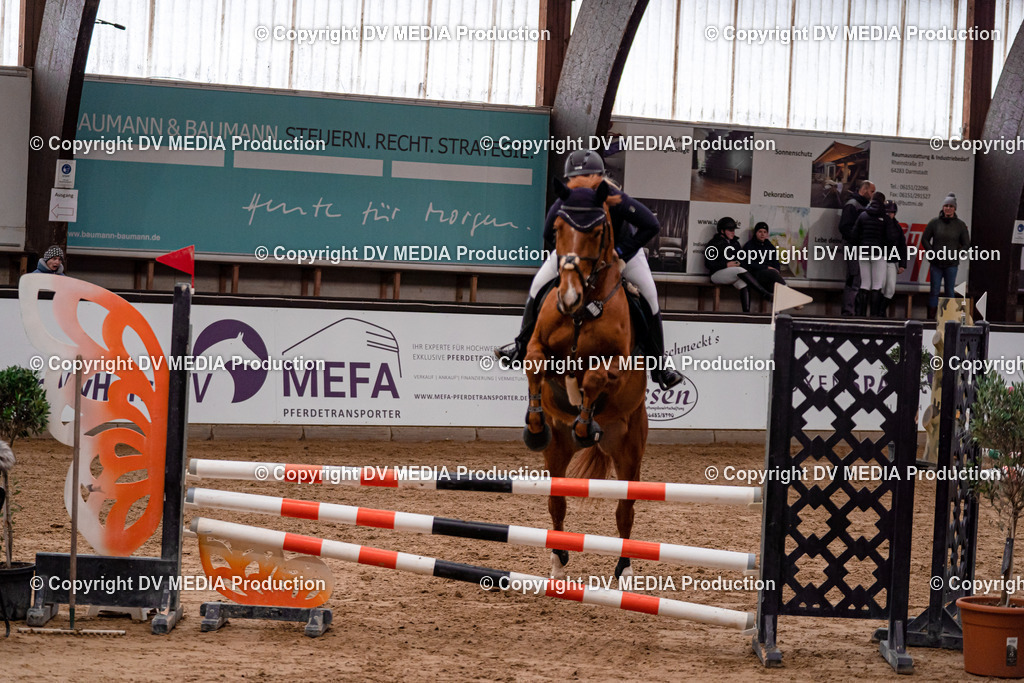 Kranichstein Tag 3-231 | dv-media-shop - Realisiert mit Pictrs.com