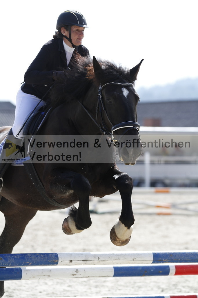 _MG_3447 | equestrian-live-com