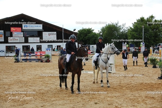 OHT0011 | Fotografie, Tiere, Hunde, Katzen, Pferde, Sportfotografie, Fotosession, Tierfotografie, Turnierfotografie, Fotografin, Fotograf - Realisiert mit Pictrs.com