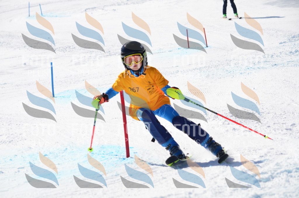 C8565 | holidayphoto