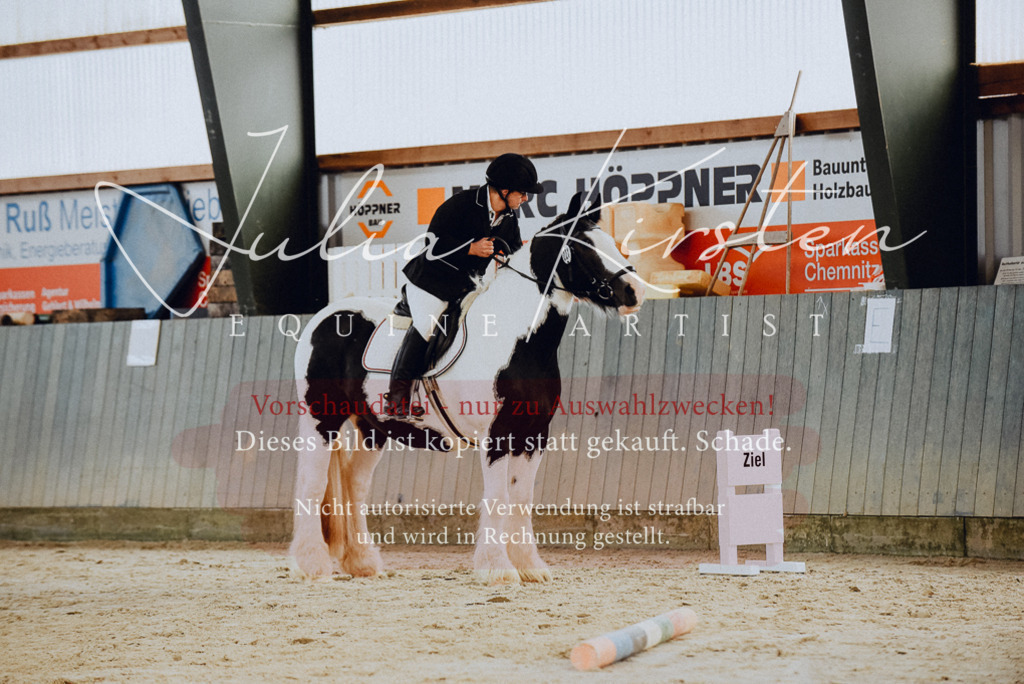 DSC_6765 | Pferde- und Turnierfotografie in Westsachsen. Pferdeportraits, Auftragszeichnungen und intuitive Kunst.