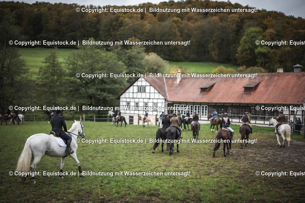 20241013_Jagd-Marbach_0098 | Foto: Thomas Hartig