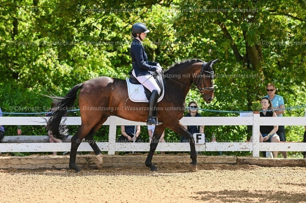 20230716_03_Dressurprfg. Kl.L - Tr._0001 | equistock