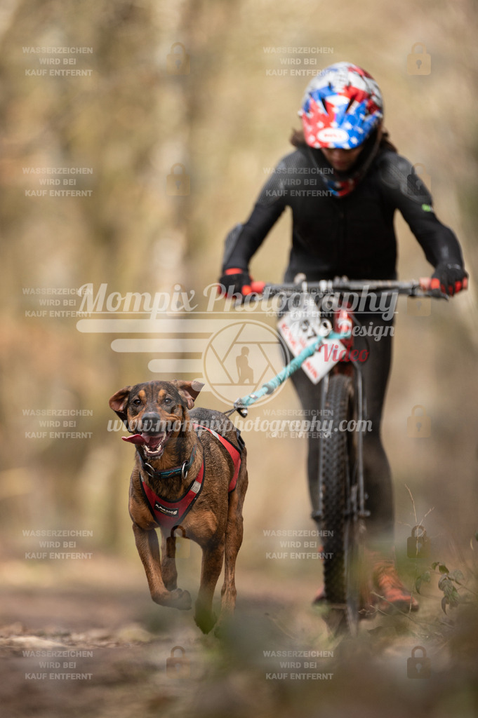 SPA_2023_SAM_Scooter-67 | PayLife