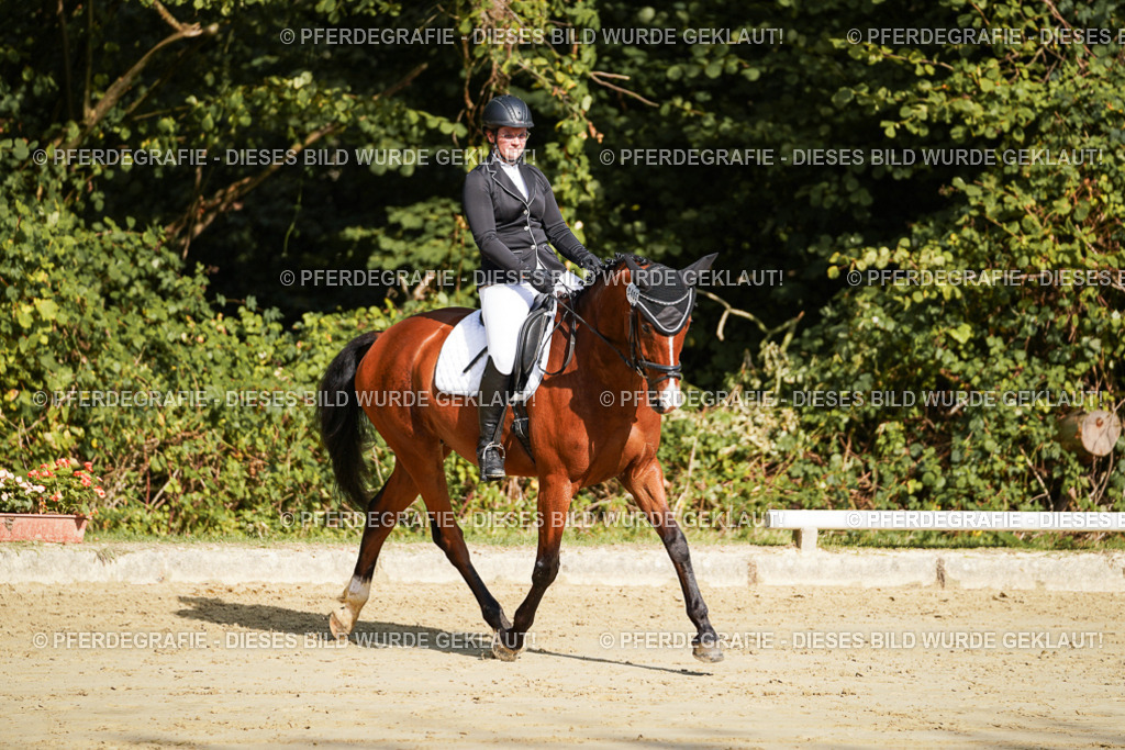 DSC08268 | Pferdegrafie