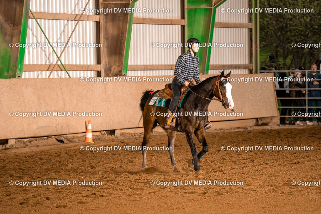 BAL01094 | dv-media-shop - Realisiert mit Pictrs.com