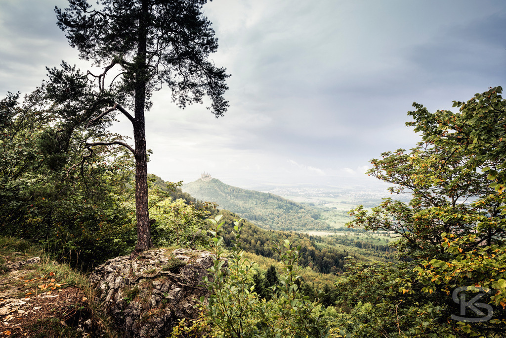 Blick auf die Burg Hohenzollern vom Zeller Horn | Ein malerischer Panoramablick auf die berühmte Burg Hohenzollern auf der Schwäbischen Alb in Deutschland. Das Bild zeigt das dichte Waldgebiet im Vordergrund, das sich über die Hügel erstreckt, und die imposante mittelalterliche Burg auf der Spitze eines markanten Kegelbergs in der Ferne. Die Szene fängt die historische Atmosphäre und die schöne Landschaft der Region ein. - Realisiert mit Pictrs.com