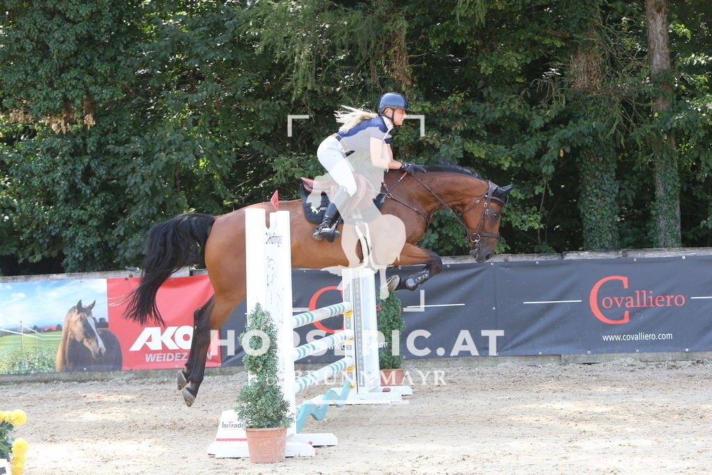 DL2Q0971 | Willkommen bei Brunnmayr - Design & Fotografie – Ihrem Spezialisten für Reitturniere und Pferdeveranstaltungen in Oberösterreich, Salzburg und Bayern! Seit über 17 Jahren sind wir leidenschaftlich dabei.