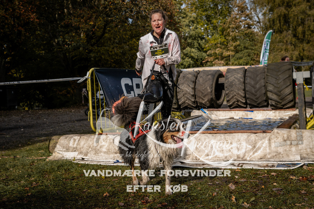 1357_ZZ93472 | kk-dogfotos